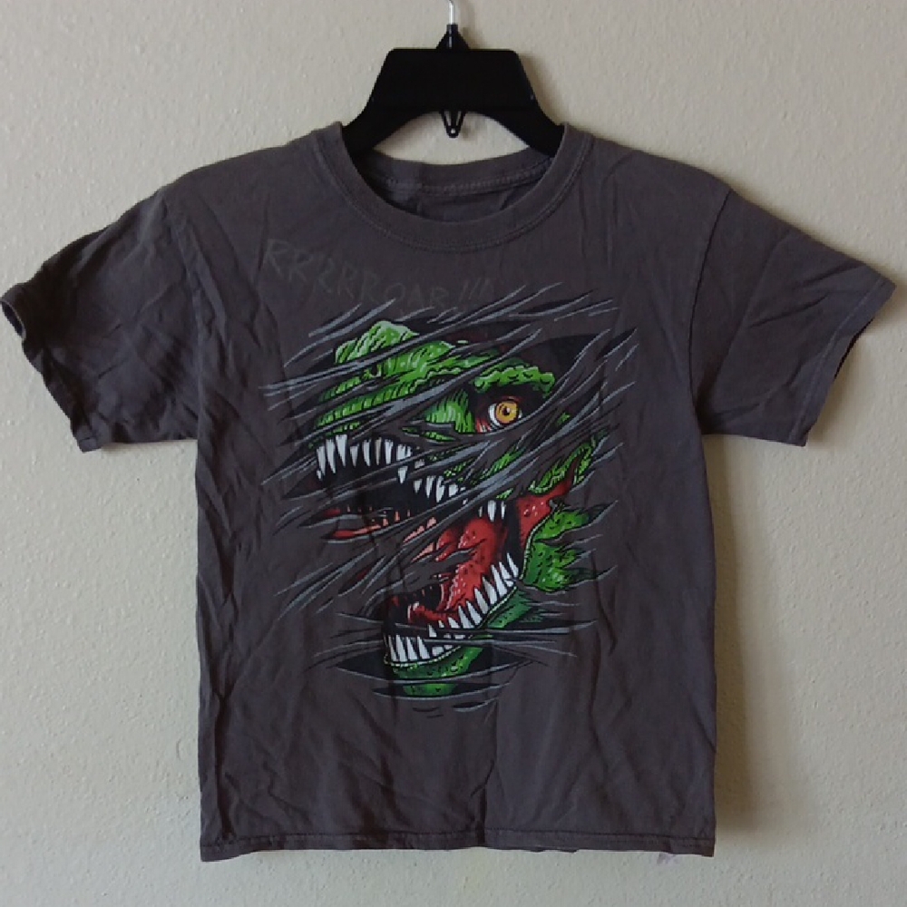 Kids Dinosaur Graphic T-Shirt - Gray